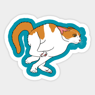 Running Hyperactive Orange and White Cat Sticker